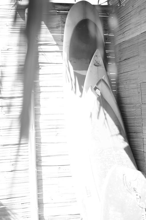 Psygon Surf Camp Pansiyon Máncora Dış mekan fotoğraf